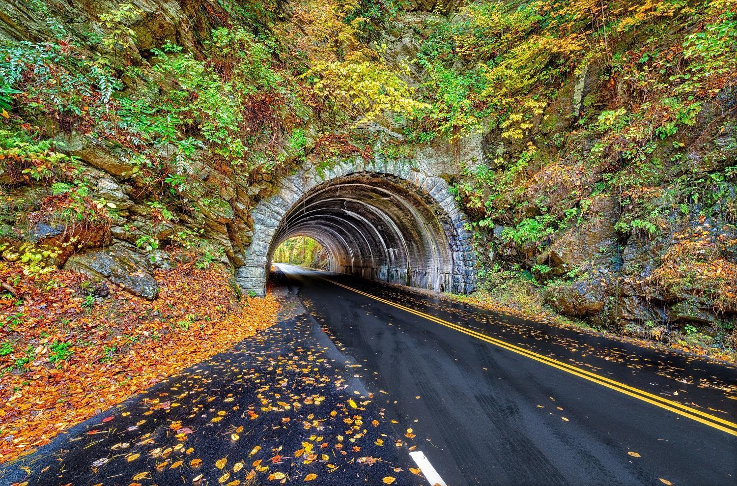 Her Majesty'S Way, Awesome Mtn Views, 1089 Free Tickets Each Paid Day, Dollywood And More Gatlinburg Luaran gambar